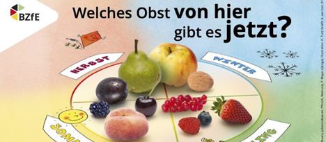 BZfE-Infografik: Was Ist Obst Der Saison? ‹ Fruchtportal